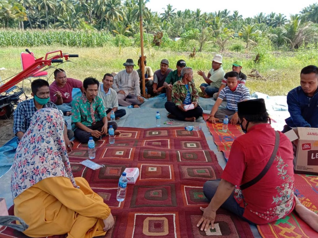 Nevi Zuairina Menyalurkan Bantuan Alat Mesin Pertanian di Kabupaten Pasaman