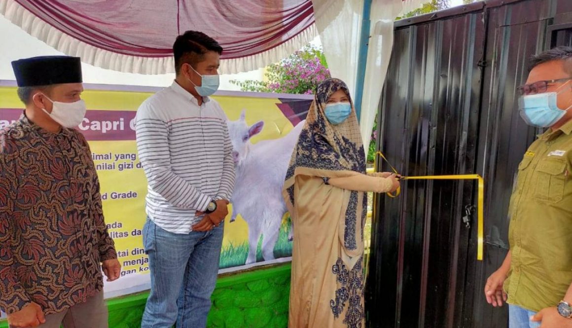 Nevi Zuairina Jutaan Rakyat Miskin Bertambah, Fokus Pemerintah Kepada UMKM Mesti Digerncarkan