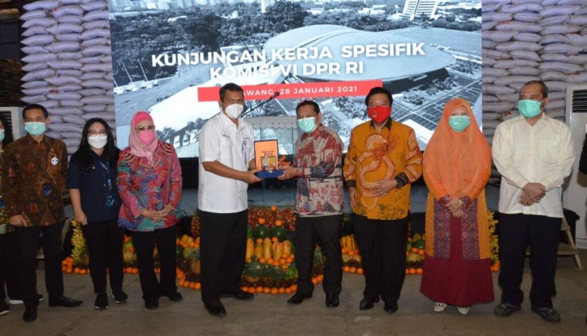 Dualisme Bulog, Nevi Zuairina Meminta Bulog Menjadi Lembaga Kuat di Bawah Presiden