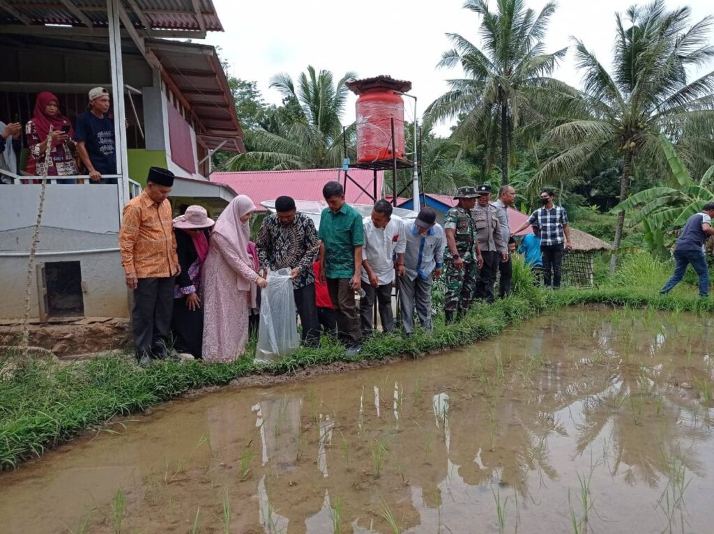 Dukung Pengembangan Potensi Perikanan, Hj Nevi Zuairina Kunjungi Kecamatan Situjuah Limo Nagari, Limapuluh Kota