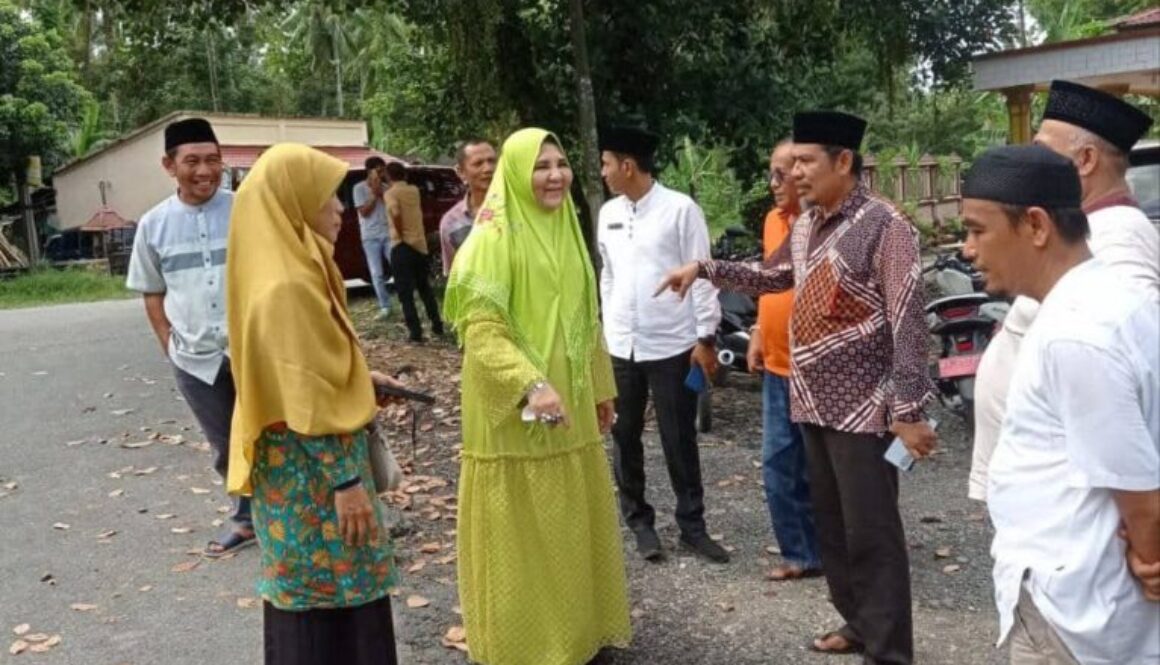Nevi Zuairina Kunjungi 3 Ruas Jalan di Padang Pariaman Aspirasi Masyarakat
