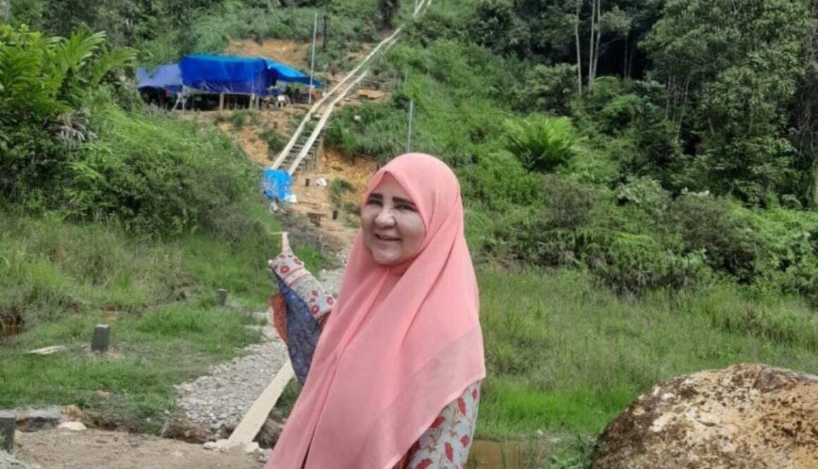 Hj. Nevi Zuairina Meninjau Lokasi Bantuan Tower dari Telkomsel Untuk Perkuat Komunikasi Kabupaten Pasaman